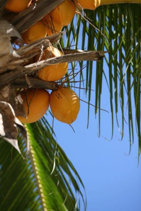 Kokus Hilton Mauritius Resort & Spa