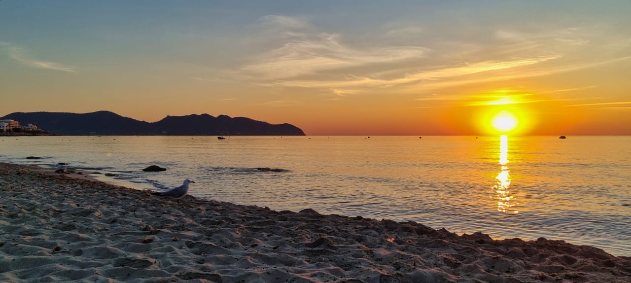 Strand allsun Hotel Bahia del Este