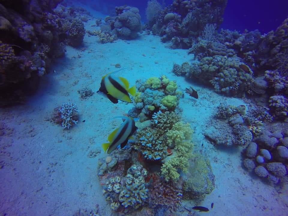 Sport & Freizeit Bliss Nada Beach Resort