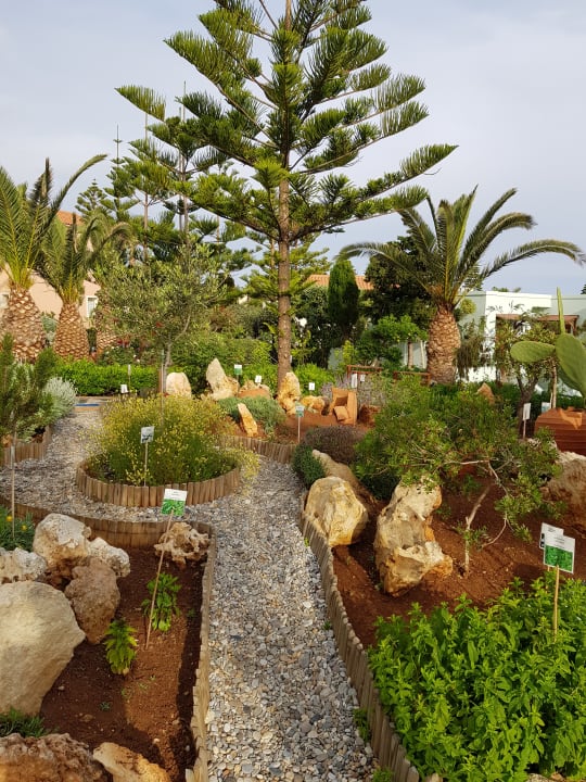 Gartenanlage Iberostar Selection Creta Marine