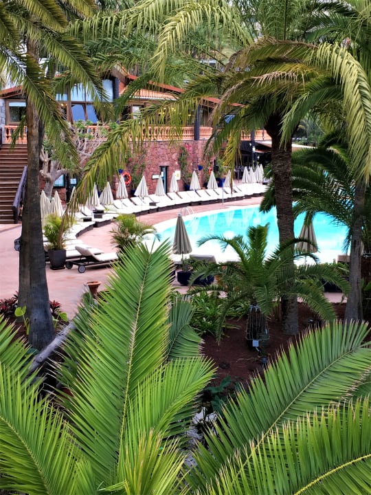 Pool Hotel Parque Tropical