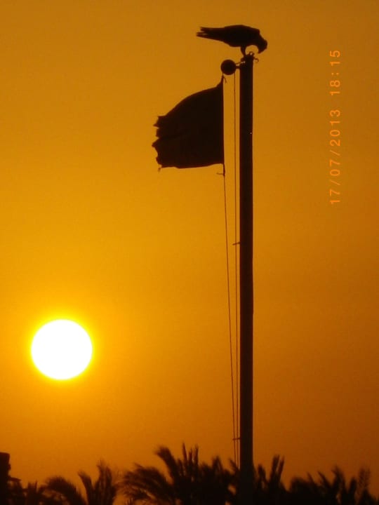 Einfach nur schön Jaz Solaya