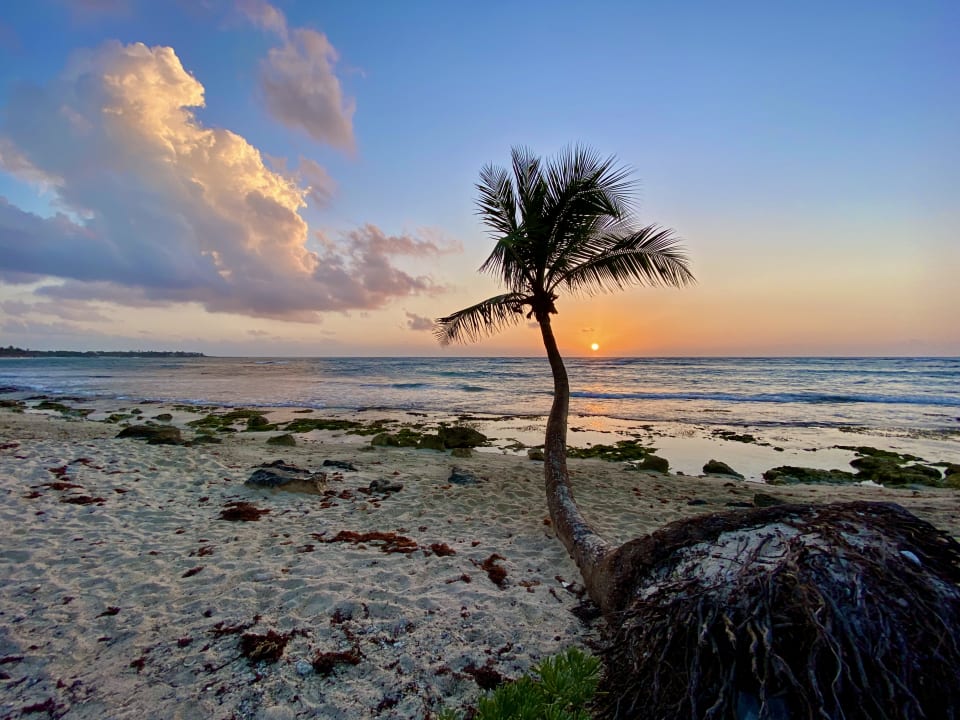 Strand Akumal Bay Beach & Wellness Resort