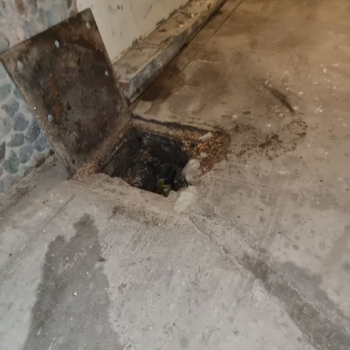 Sonstiges Royal Star Beach Resort