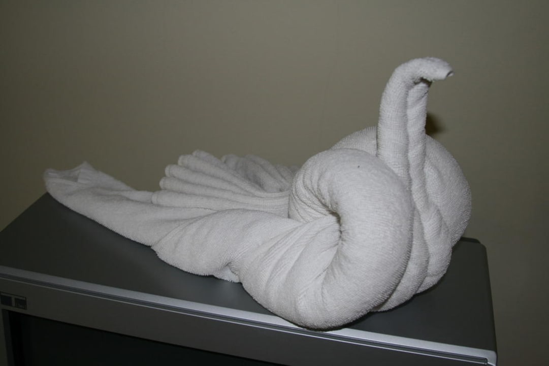 Schwanenhandtuch Khaolak Orchid Beach Resort