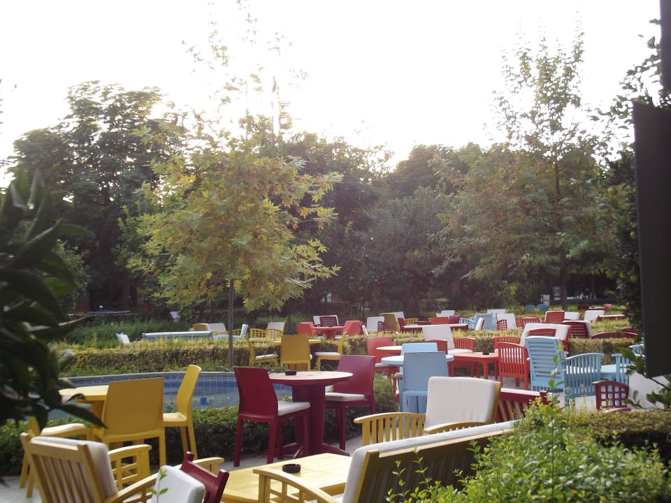 Cleopatra Bar Can Garden Beach