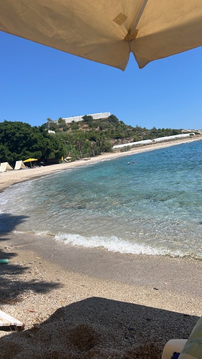 Strand Marvel Tree Hotel