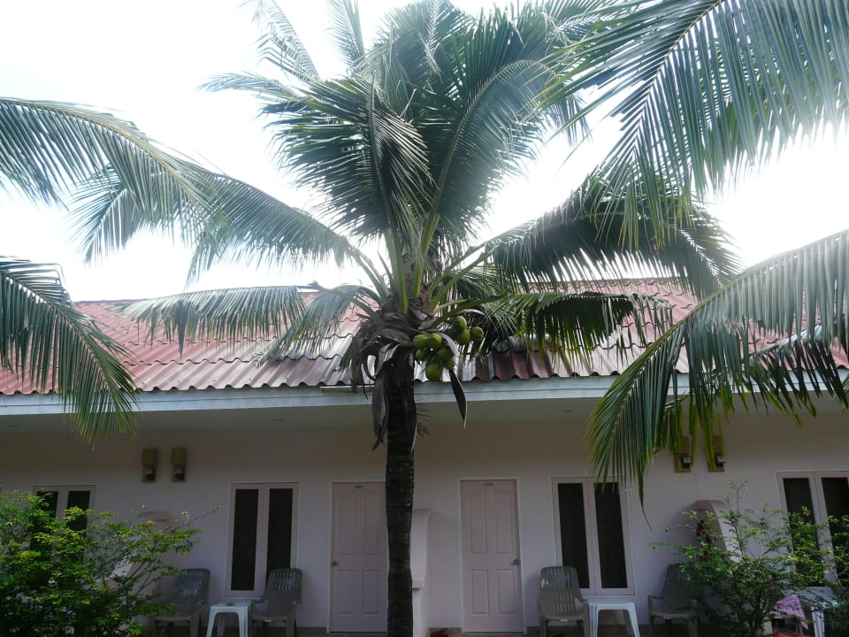 В таких домиках мы жили, есть ещё большой корпус Hotel The Natural Resort