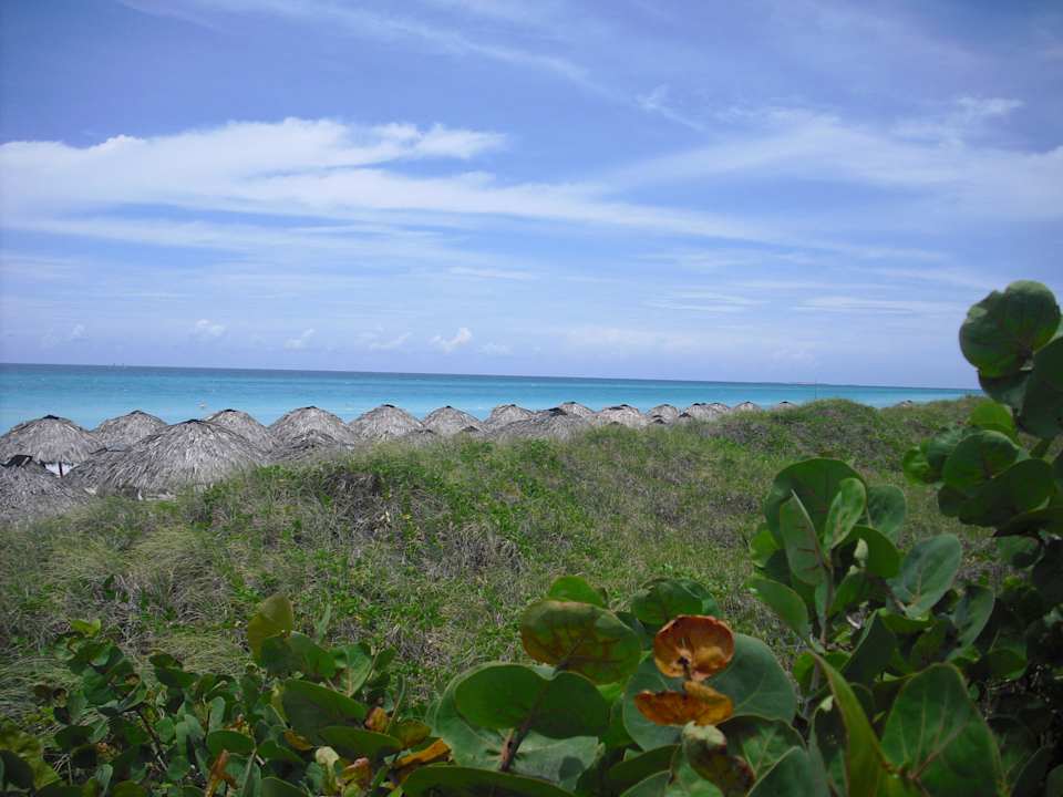 Blick in Richtung Meer Blau varadero - Adults only