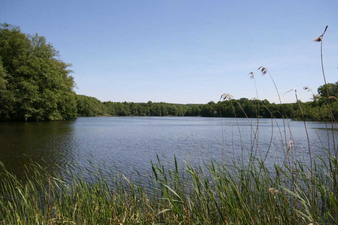 See Waldseehotel Frenz