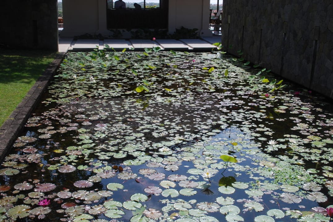 Amanusa Hotel Amanusa