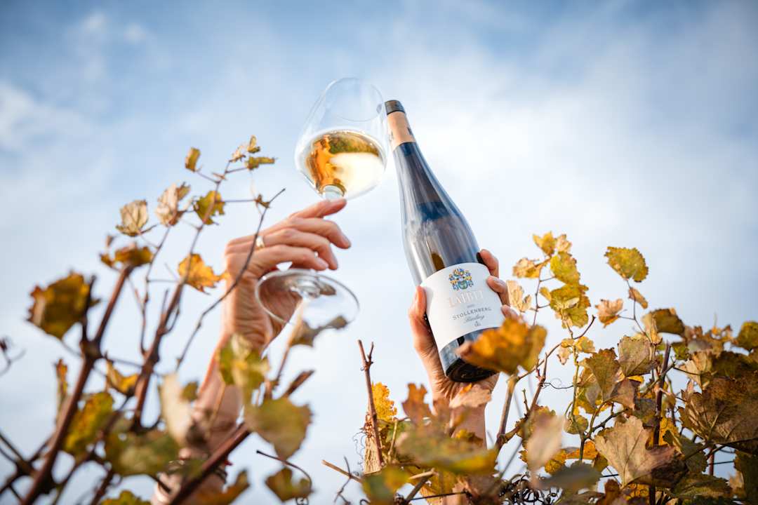 Sport & Freizeit Hotel Ritter Durbach