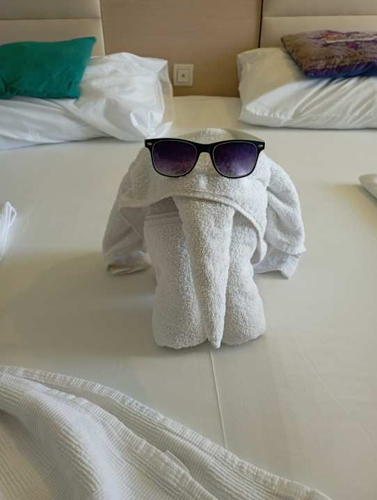 Zimmer Grand Belish Resort Hotel & Spa