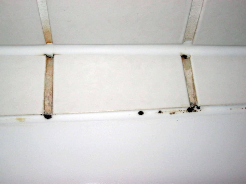 Schwarze Fliesenfugen und Schimmel  Hotel Höerhof