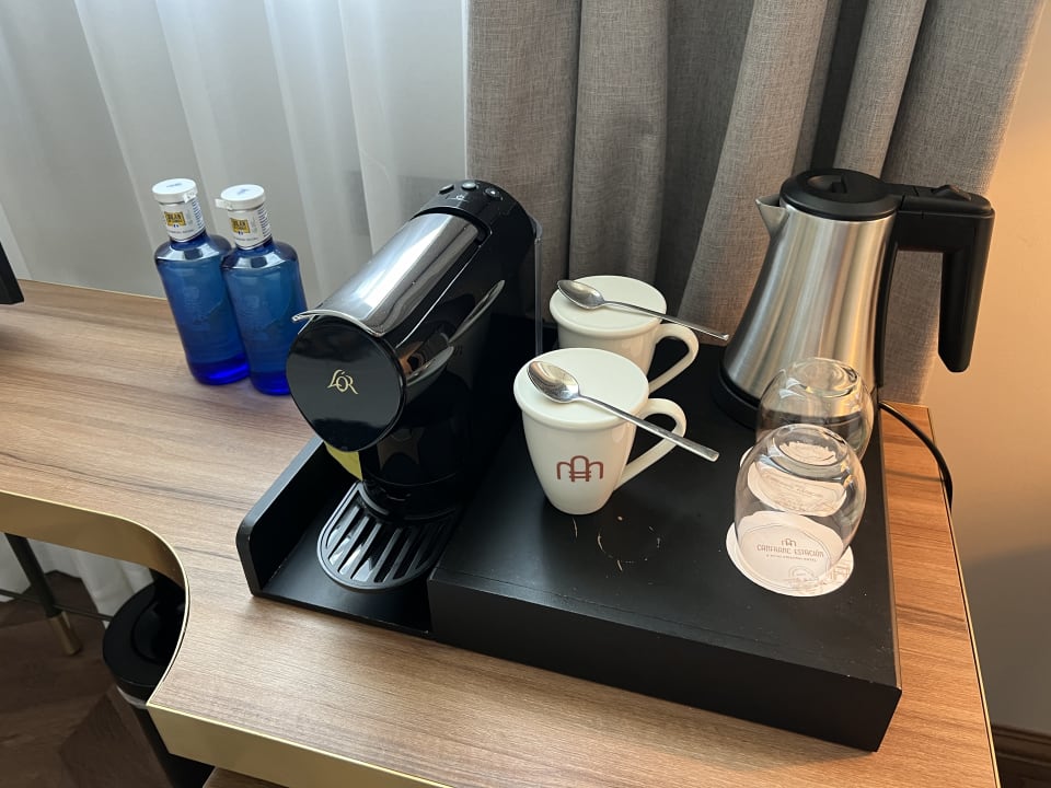 Zimmer Canfranc Estación, a Royal Hideaway Hotel - Gran Lujo