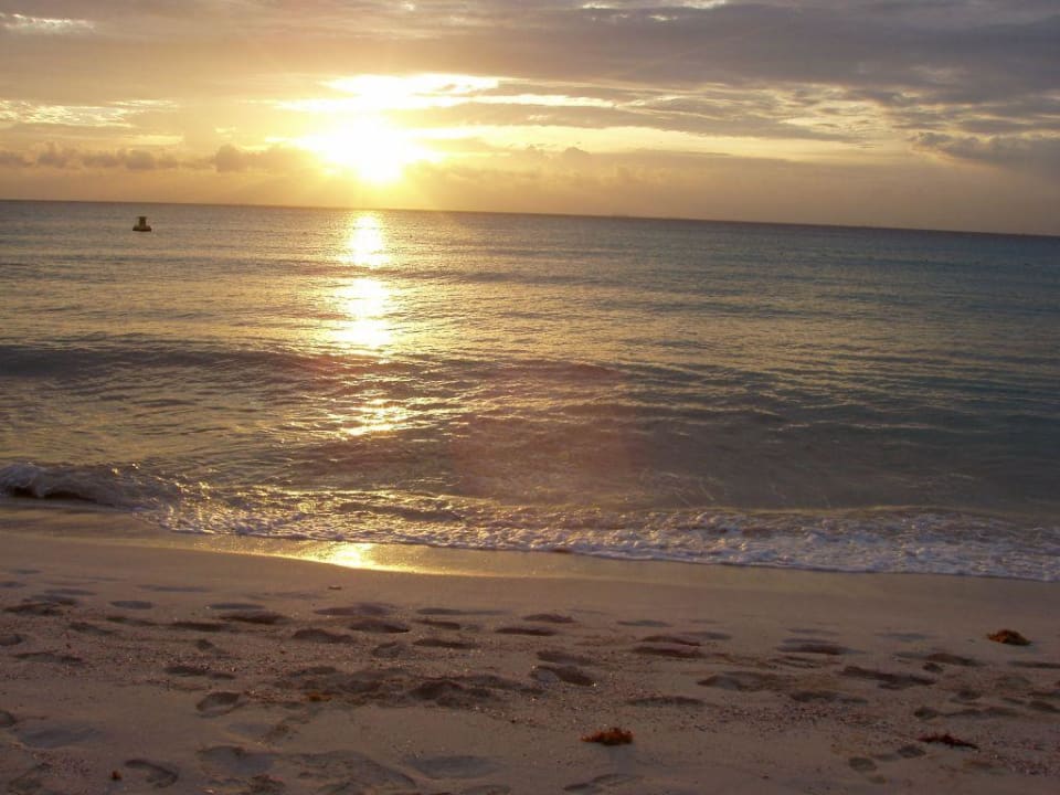 Wunderschöne Sonnenaufgänge Iberostar Waves Tucan