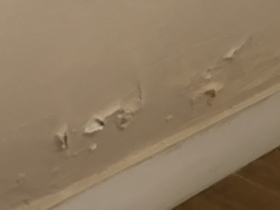 Zimmer Sunscape Dominicus La Romana