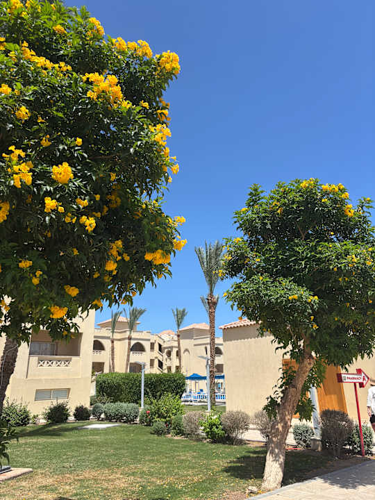 Gartenanlage Pickalbatros Aqua Blu Resort - Hurghada