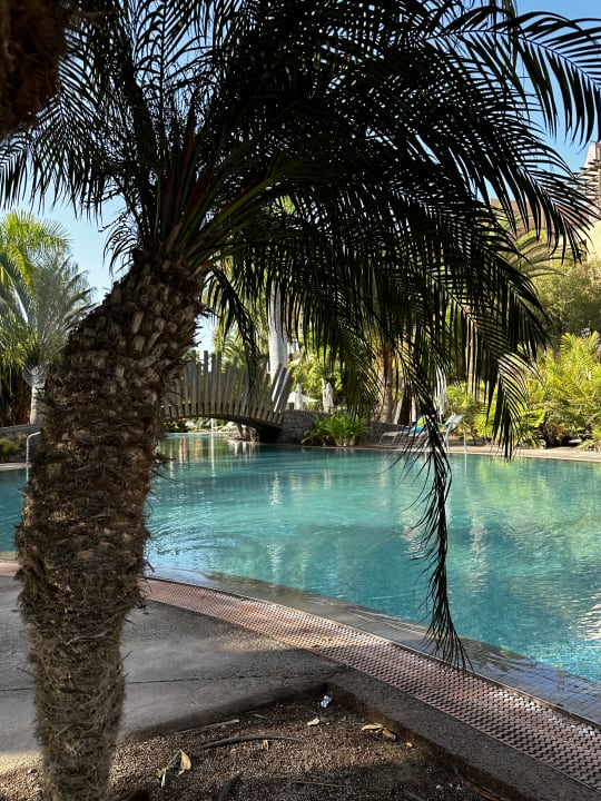 Pool Lopesan Baobab Resort