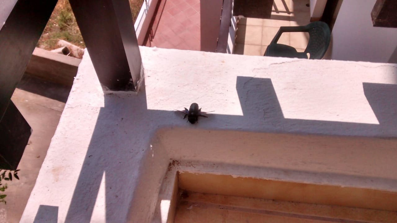 Balkon Heronissos Hotel