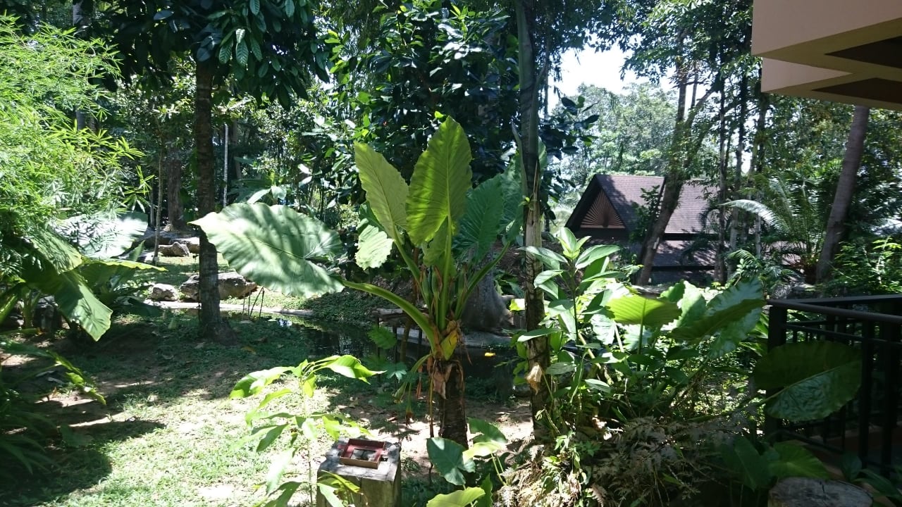 Ausblick vom Zimmer Khao Lak Merlin Resort