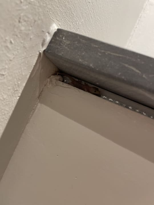 Zimmer Lagoon Attitude - Adults only