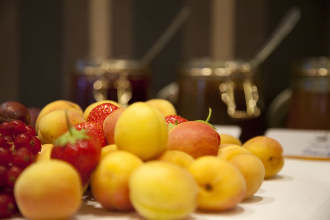 Gastro Sorat Insel Hotel Regensburg