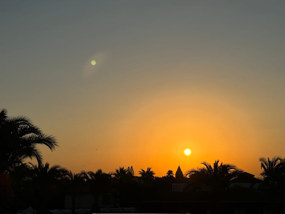 Ausblick TUI BLUE Palm Garden