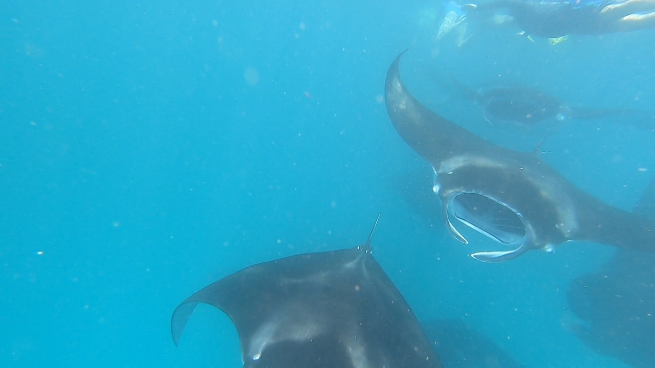 Sport & Freizeit NH Collection Maldives Reethi Resort