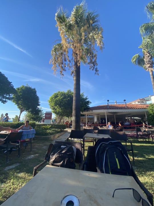 Gartenanlage Trendy Side Beach Hotel - Adults only