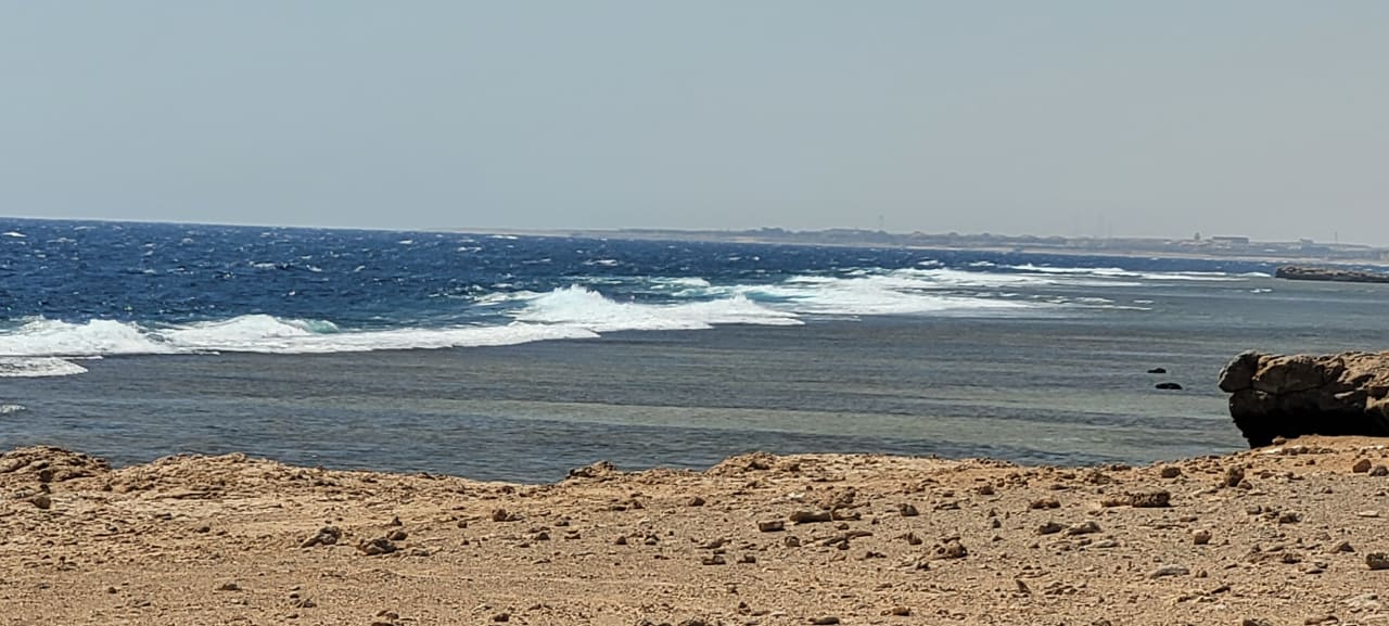 Strand Pickalbatros Sea World Resort - Marsa Alam