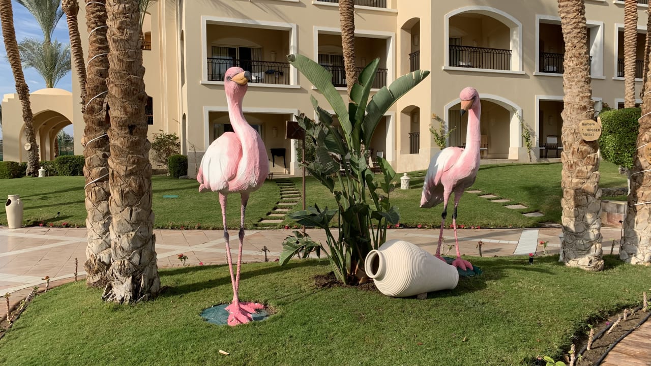 Gartenanlage Hotel JAZ Makadi Star & Spa