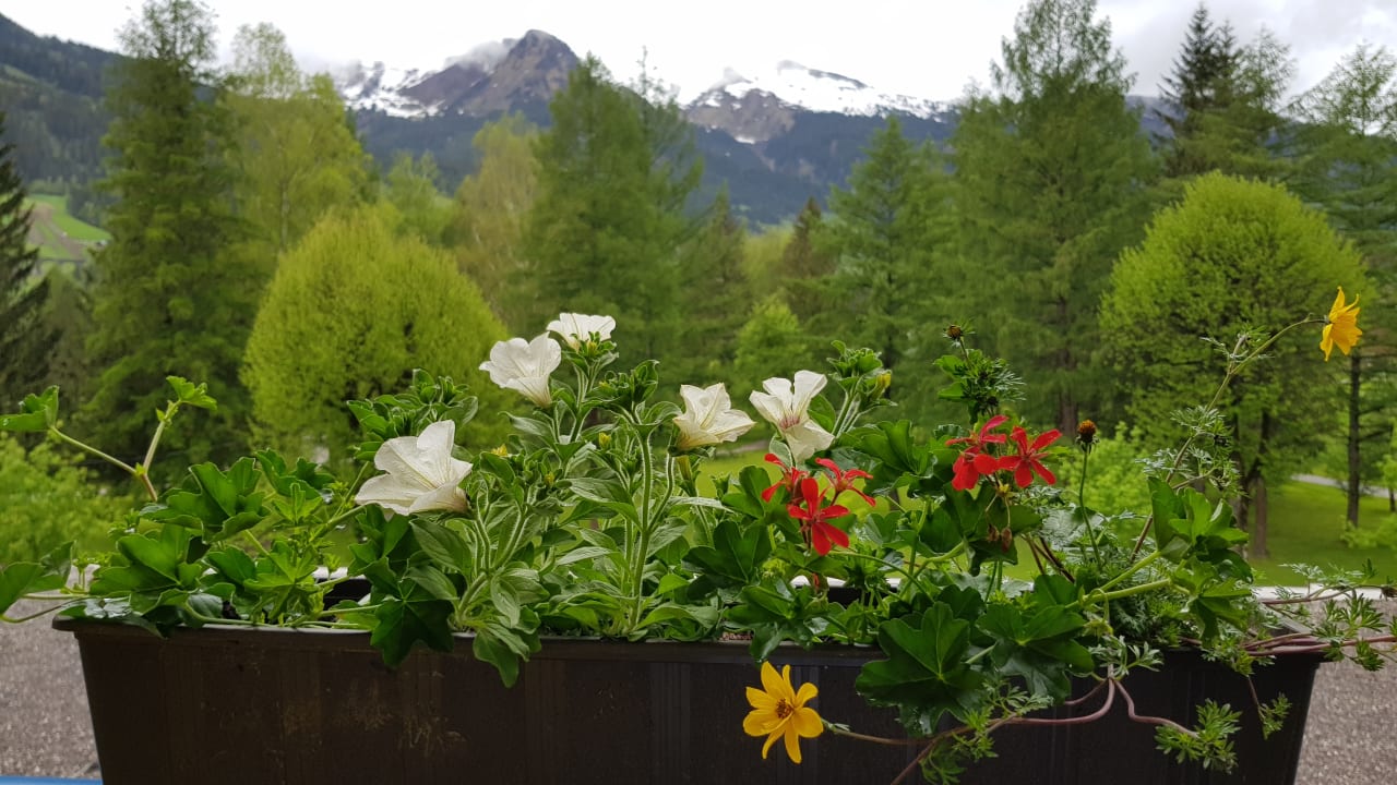 Sonstiges Johannesbad Hotel Palace