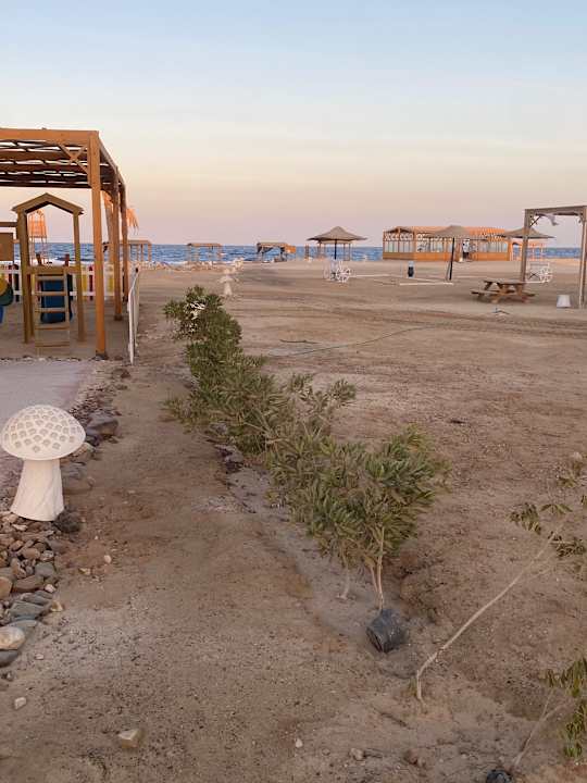 Strand Beach Safari Nubian Resort