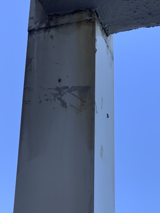 Sonstiges PALOMA Perissia