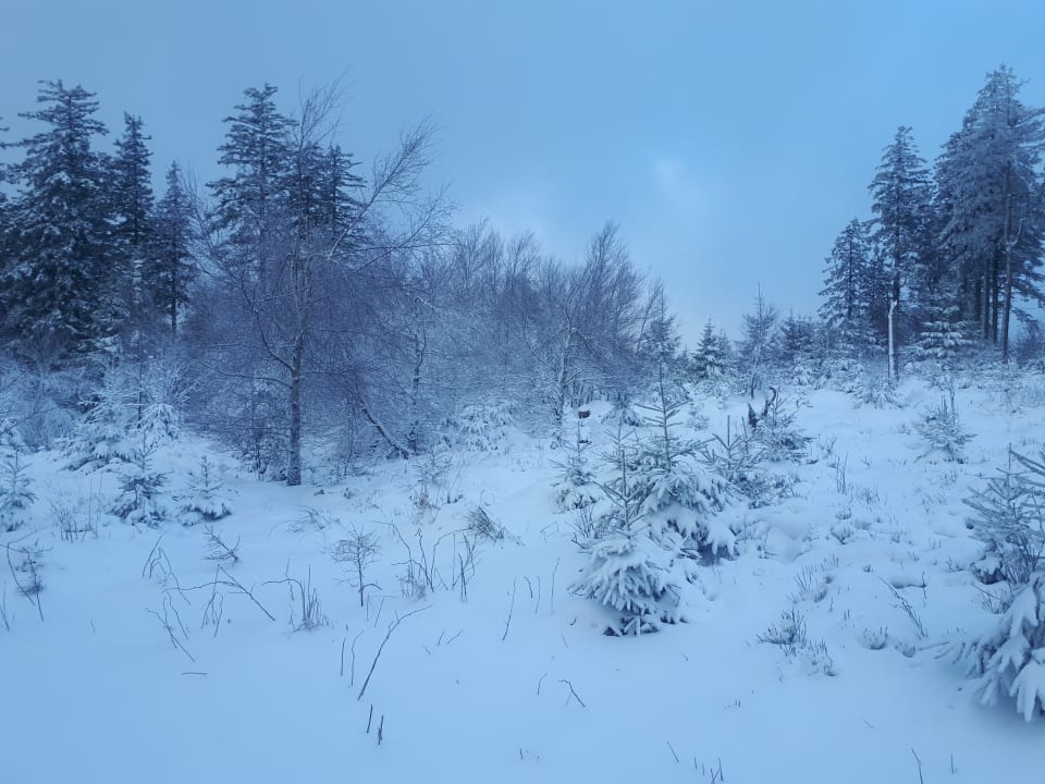 Ausblick Das Loft Hotel Willingen