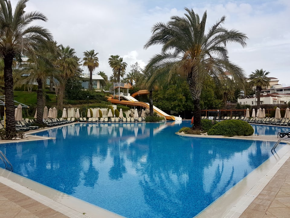 Pool Side Star Elegance