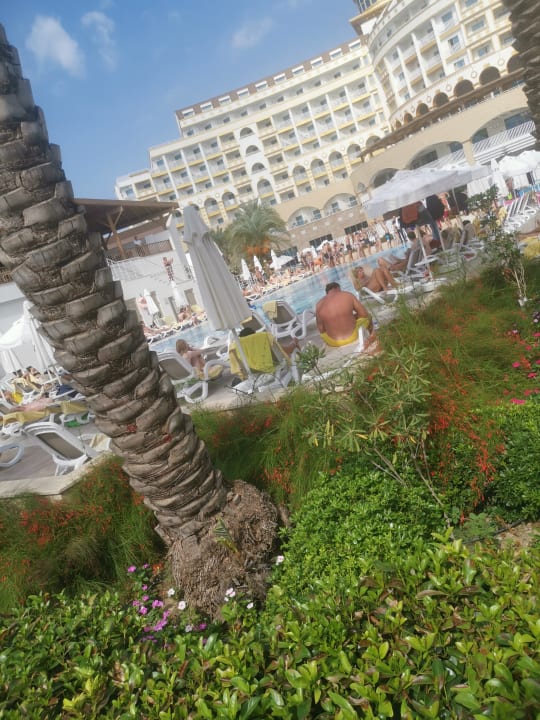 Pool Sidemarin Kirman Premium