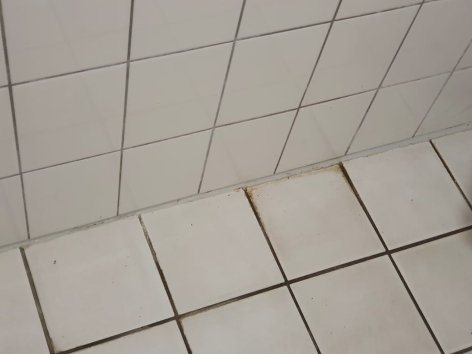 Pool Panoramic - Ihr Apartmenthotel im Harz