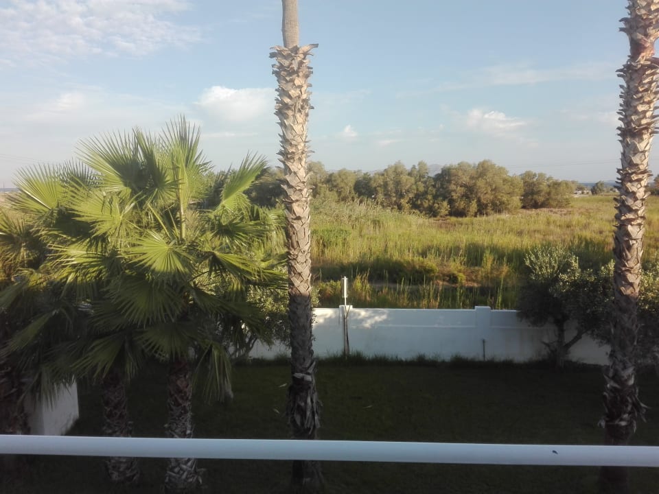 Ausblick Gaia In Style - Adults only