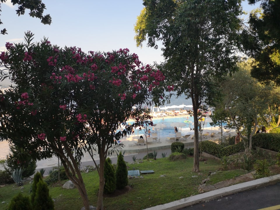 Ausblick Iberostar Waves Herceg Novi