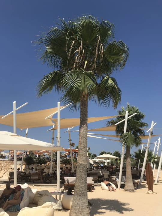 Außenansicht Asterias Beach