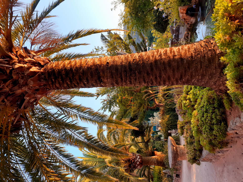 Gartenanlage Hotel Es Port