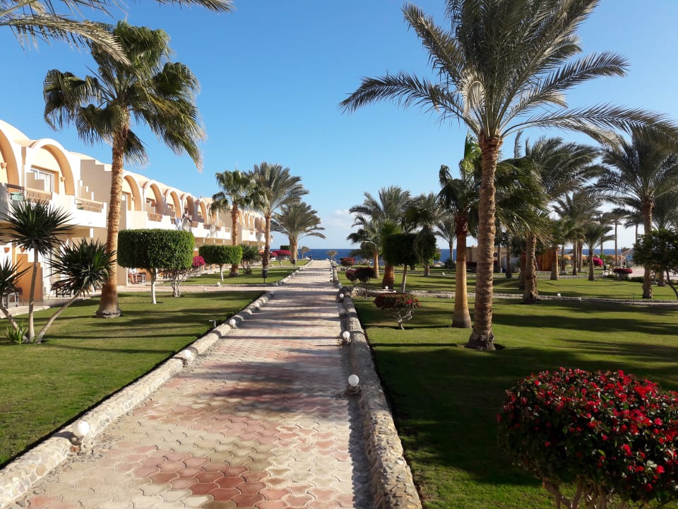 Gartenanlage Three Corners Sea Beach Resort