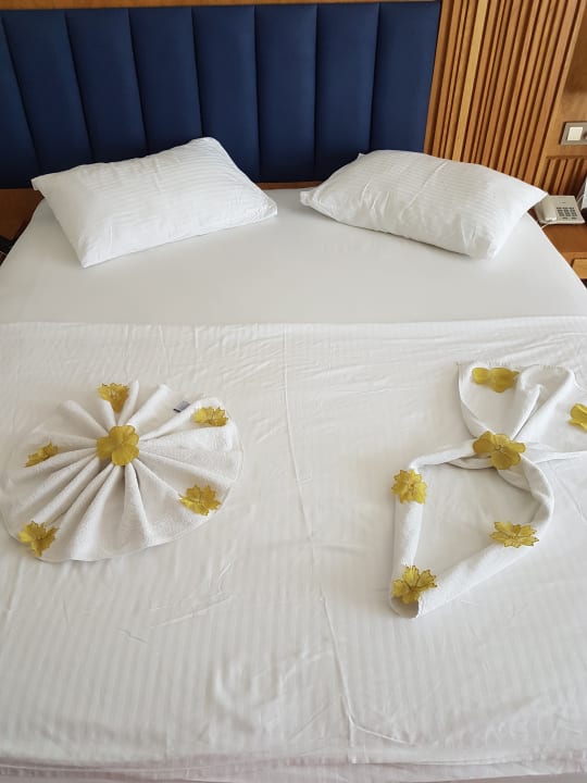 Zimmer Sidemarin Kirman Premium