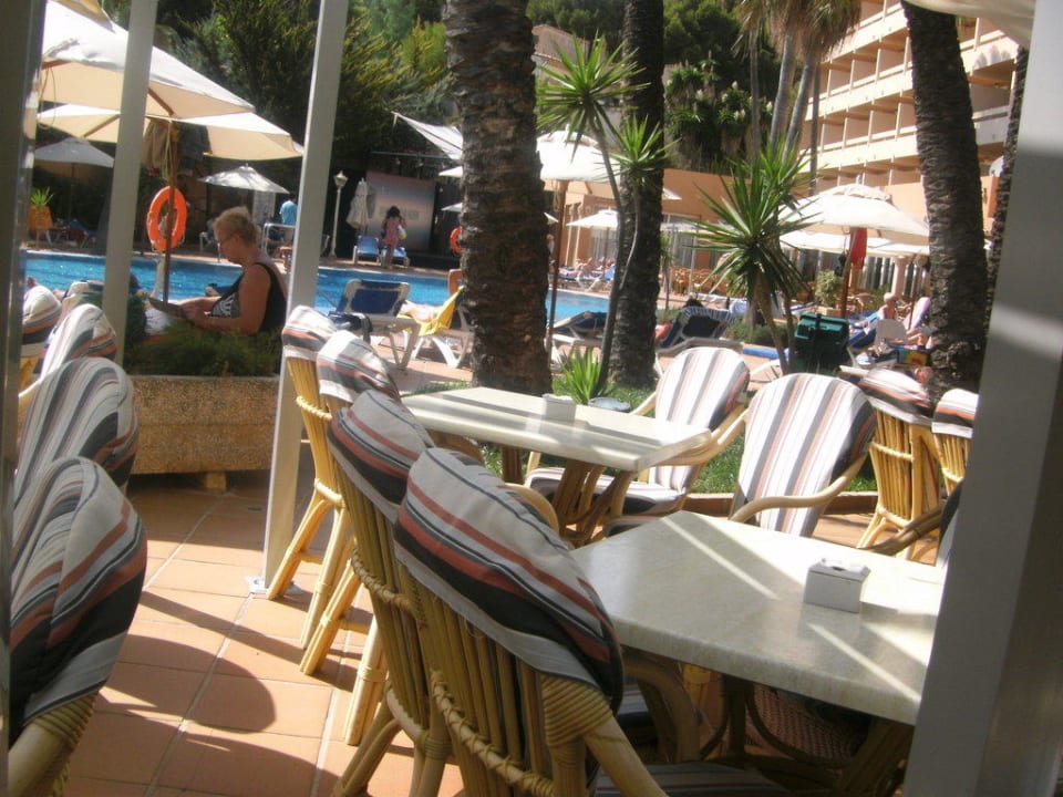 Poolanlage Valentin Reina Paguera