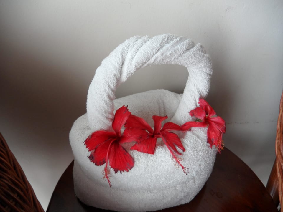 Handtuchfiguren Dreams La Romana Resort & Spa