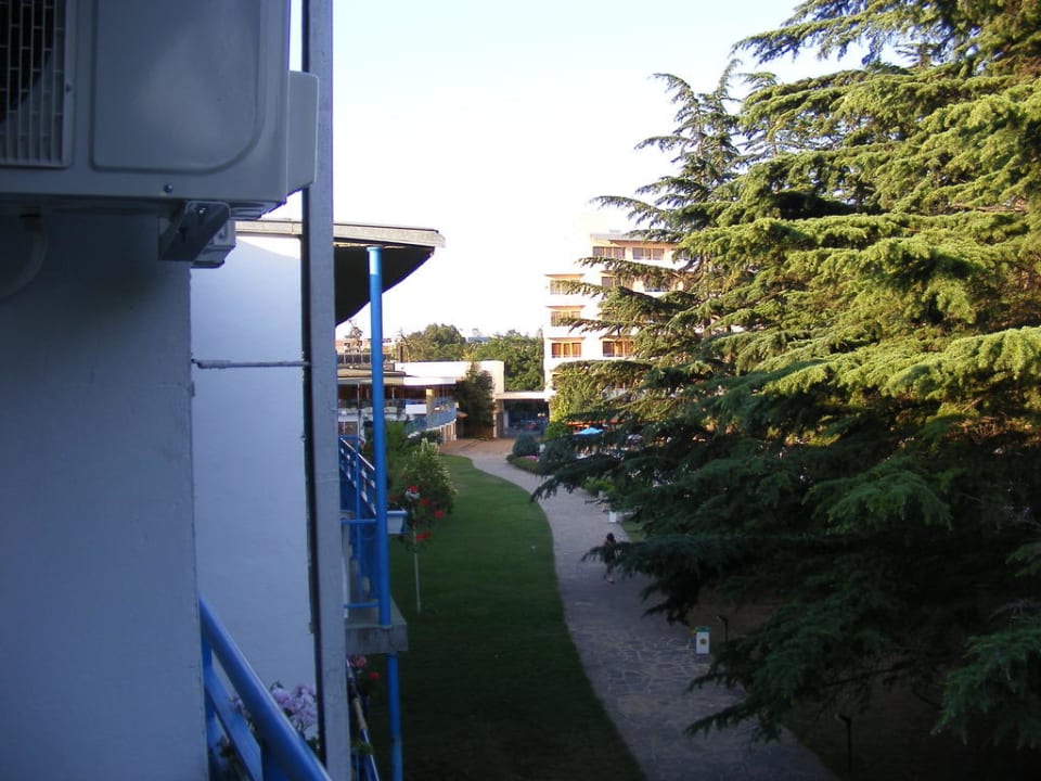 Ausblick vom Zimmer Parkhotel Continental