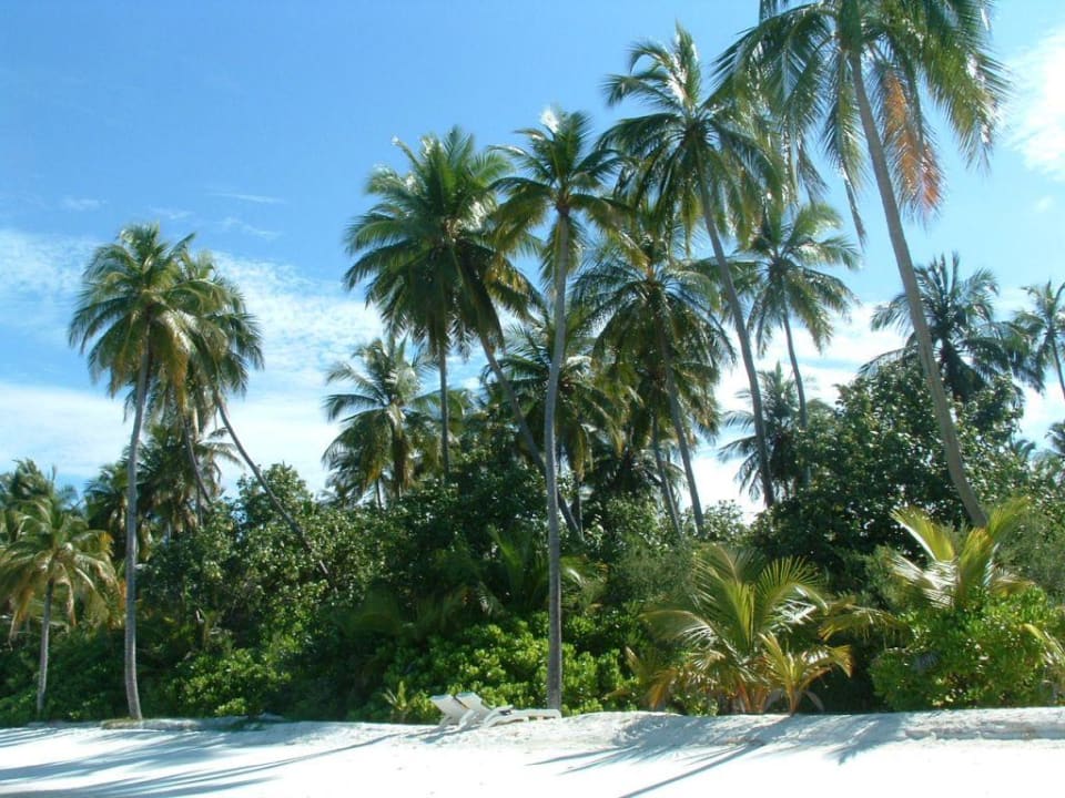 Plaża Meeru Maldives Resort Island
