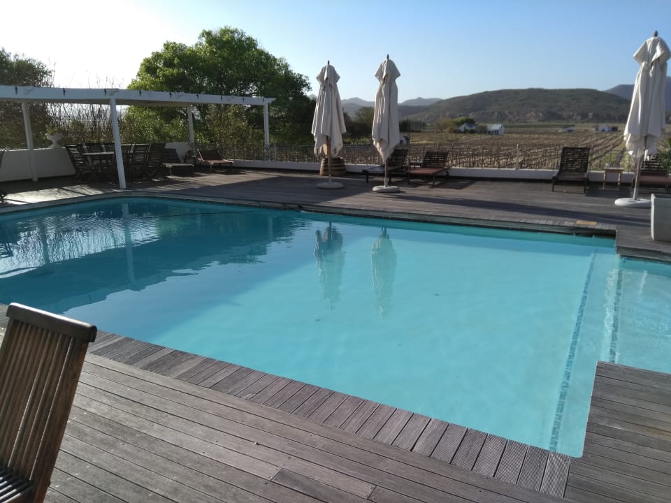 Pool Excelsior Manor Guesthouse